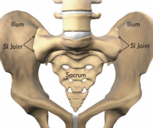 Screen Shot 2016-05-10 at 1.58.19 PM